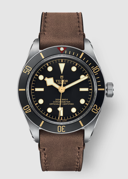 Replica Tudor Black Bay 58 Watch M79030N-0002